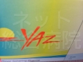 ヤーズ(YAZ)-ここぞという時に使う!