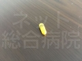 エルドパア2mg(下痢止め)-こんなの探してた