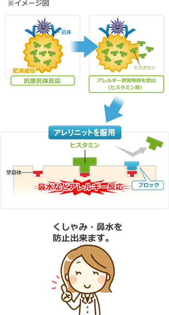 くしゃみの原因のヒスタミンと体内の受容体がくっつくのを防ぎます。