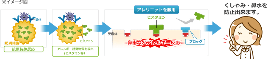 くしゃみの原因のヒスタミンと体内の受容体がくっつくのを防ぎます。
