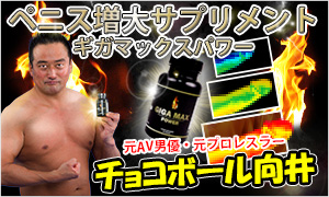 ギガマックスパワー